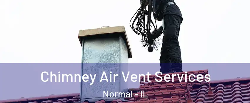  Chimney Air Vent Services Normal - IL