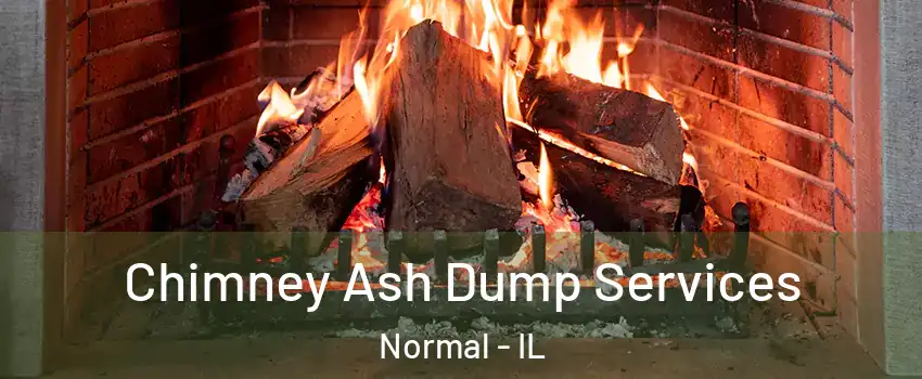  Chimney Ash Dump Services Normal - IL