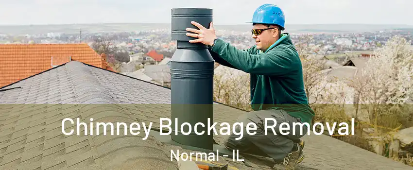  Chimney Blockage Removal Normal - IL