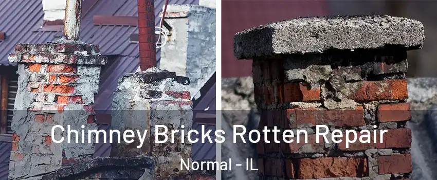  Chimney Bricks Rotten Repair Normal - IL