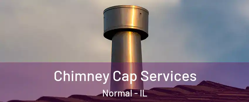 Chimney Cap Services Normal - IL