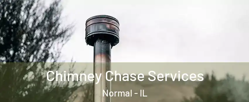  Chimney Chase Services Normal - IL