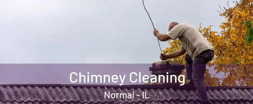  Chimney Cleaning Normal - IL