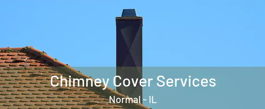  Chimney Cover Services Normal - IL