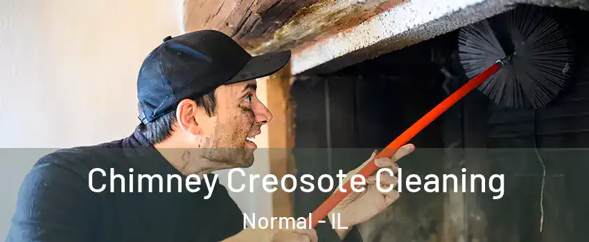  Chimney Creosote Cleaning Normal - IL