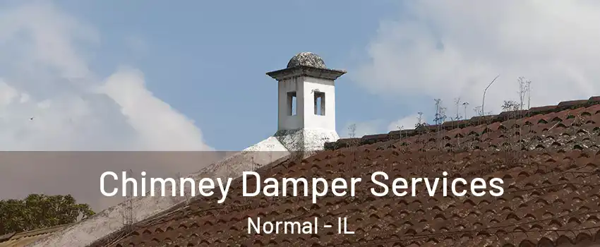  Chimney Damper Services Normal - IL