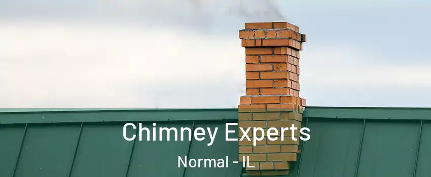 Chimney Experts Normal - IL