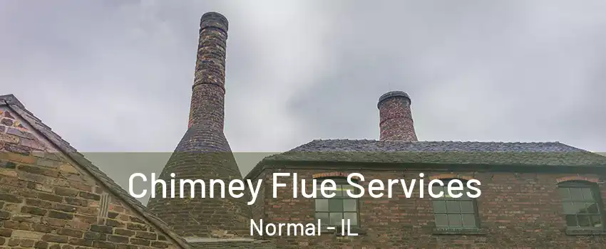  Chimney Flue Services Normal - IL