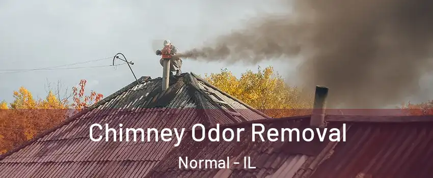  Chimney Odor Removal Normal - IL