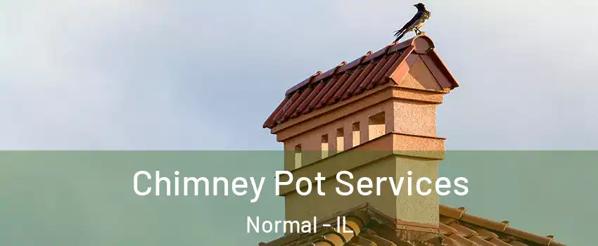  Chimney Pot Services Normal - IL