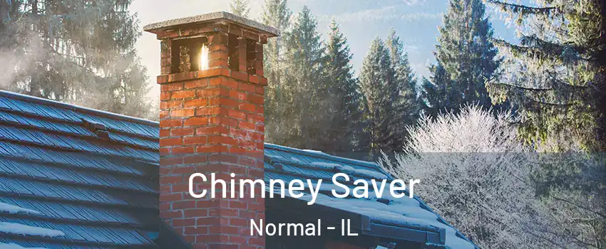  Chimney Saver Normal - IL