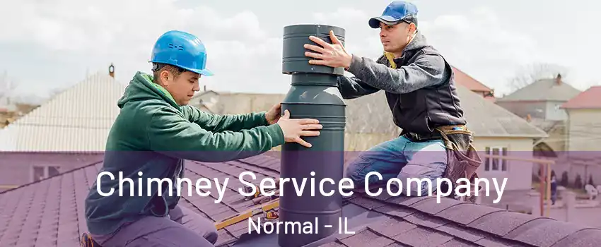  Chimney Service Company Normal - IL