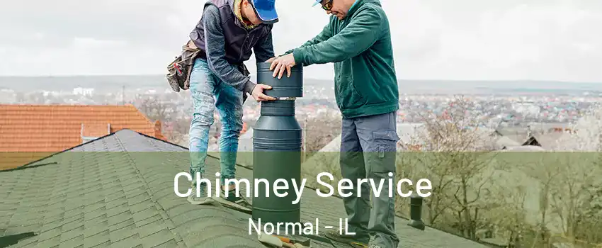  Chimney Service Normal - IL