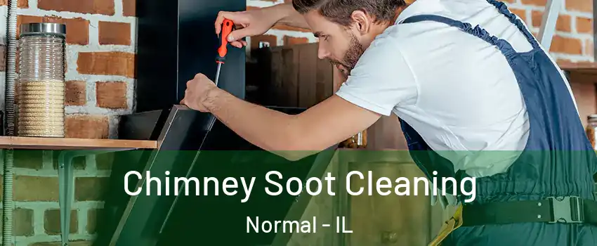  Chimney Soot Cleaning Normal - IL
