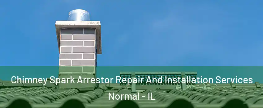  Chimney Spark Arrestor Repair And Installation Services Normal - IL