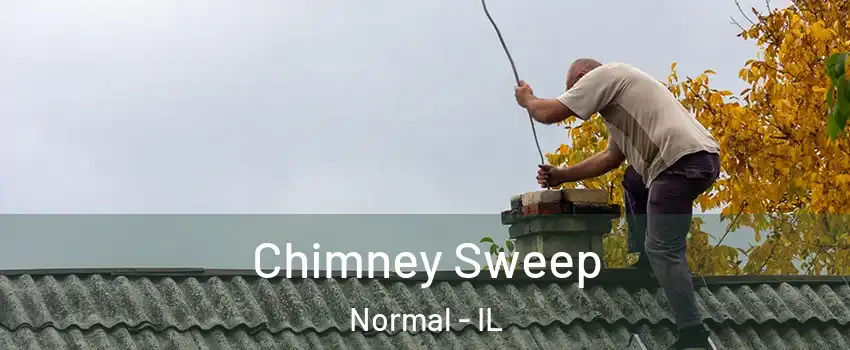 Chimney Sweep Normal - IL