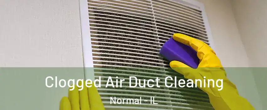  Clogged Air Duct Cleaning Normal - IL