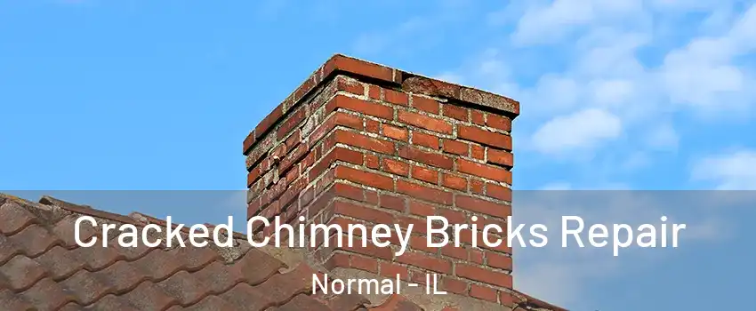  Cracked Chimney Bricks Repair Normal - IL