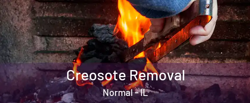  Creosote Removal Normal - IL