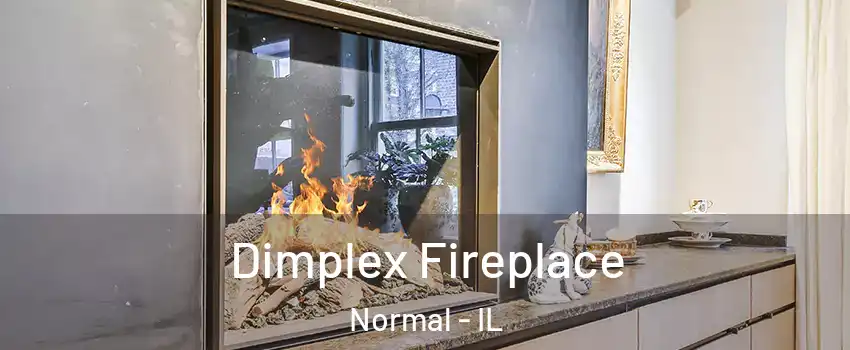  Dimplex Fireplace Normal - IL