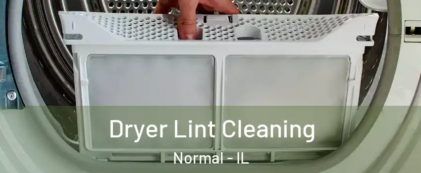  Dryer Lint Cleaning Normal - IL