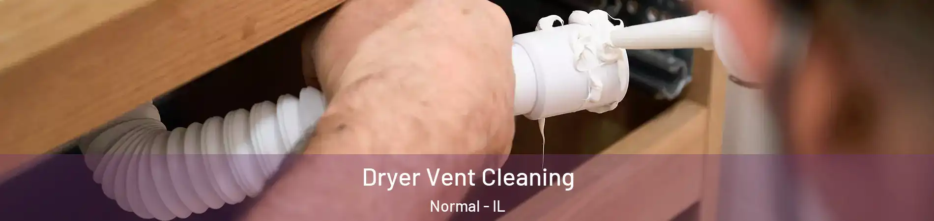  Dryer Vent Cleaning Normal - IL