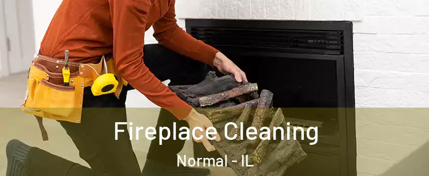  Fireplace Cleaning Normal - IL