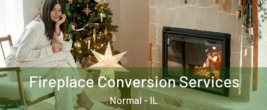  Fireplace Conversion Services Normal - IL