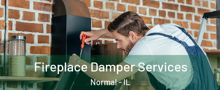  Fireplace Damper Services Normal - IL