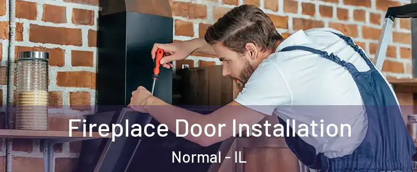  Fireplace Door Installation Normal - IL