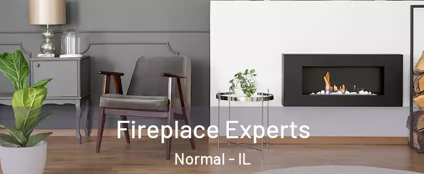  Fireplace Experts Normal - IL