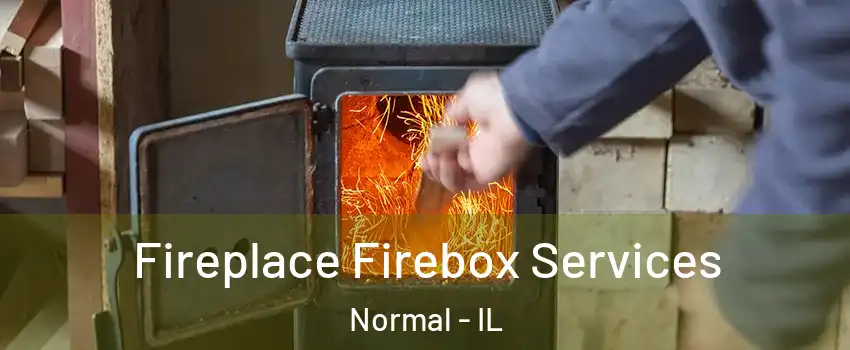  Fireplace Firebox Services Normal - IL