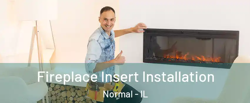  Fireplace Insert Installation Normal - IL
