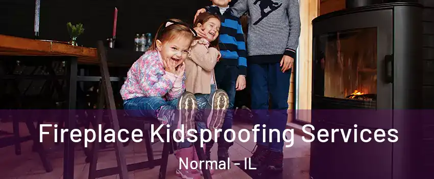  Fireplace Kidsproofing Services Normal - IL