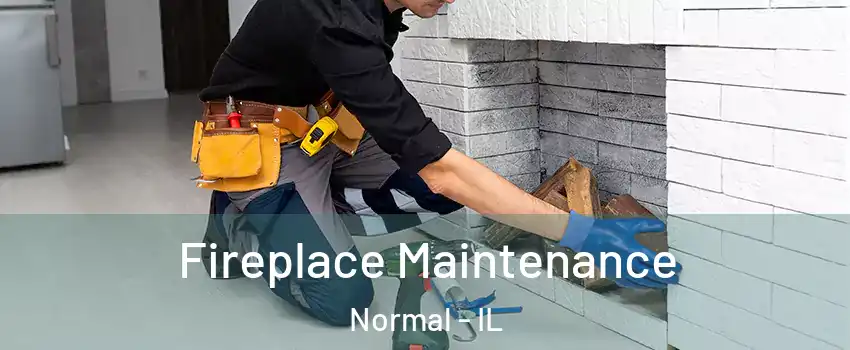  Fireplace Maintenance Normal - IL