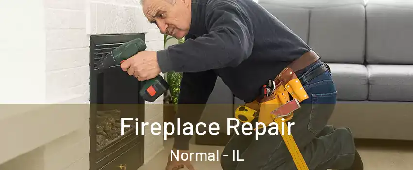  Fireplace Repair Normal - IL
