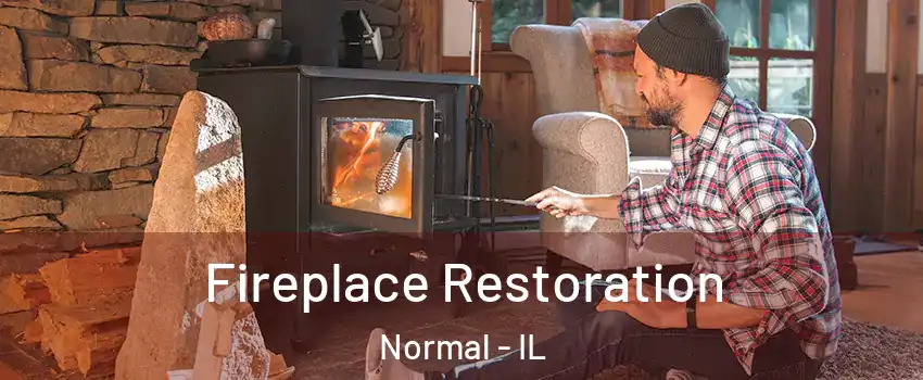  Fireplace Restoration Normal - IL