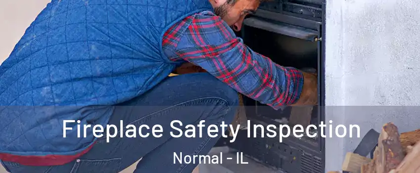  Fireplace Safety Inspection Normal - IL