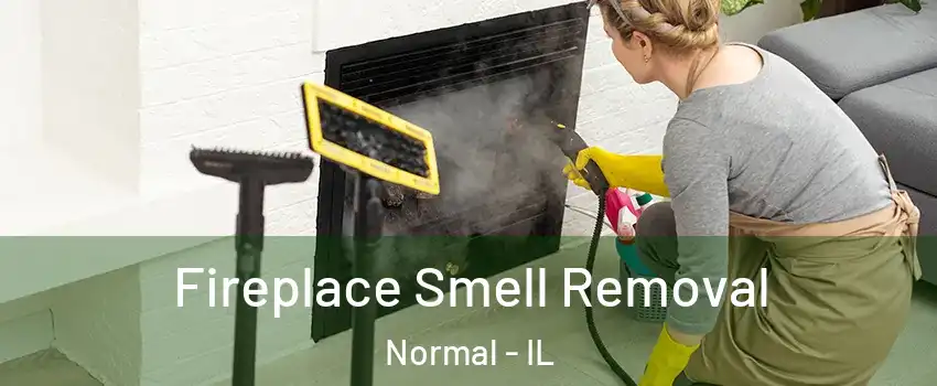  Fireplace Smell Removal Normal - IL