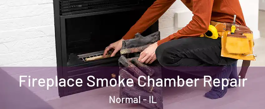  Fireplace Smoke Chamber Repair Normal - IL