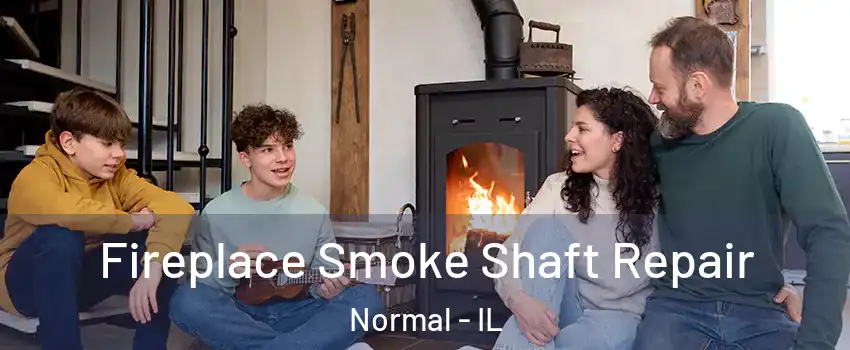  Fireplace Smoke Shaft Repair Normal - IL