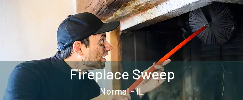  Fireplace Sweep Normal - IL