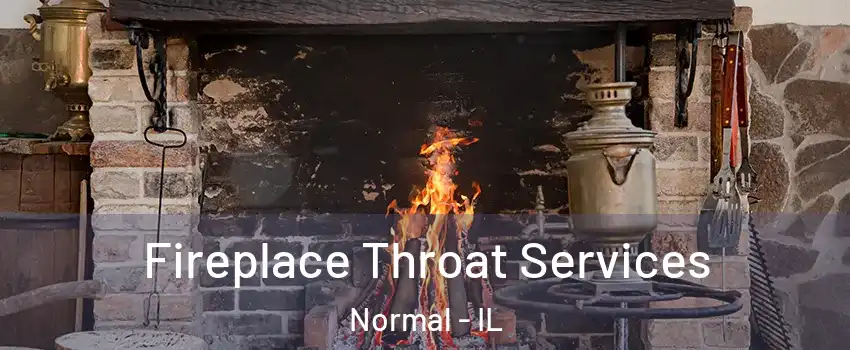  Fireplace Throat Services Normal - IL
