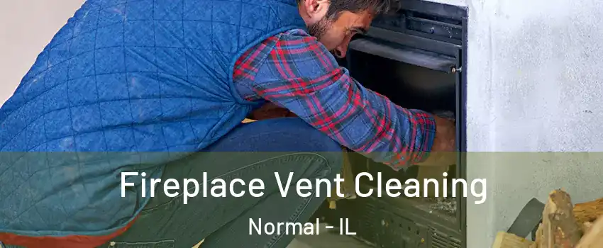  Fireplace Vent Cleaning Normal - IL