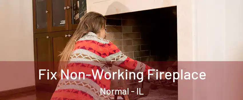  Fix Non-Working Fireplace Normal - IL