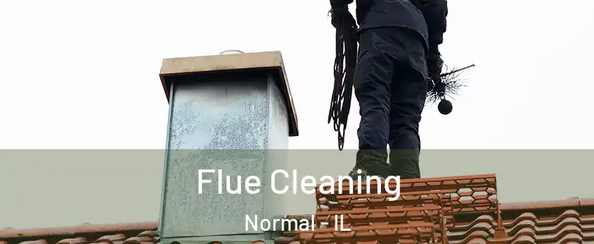  Flue Cleaning Normal - IL