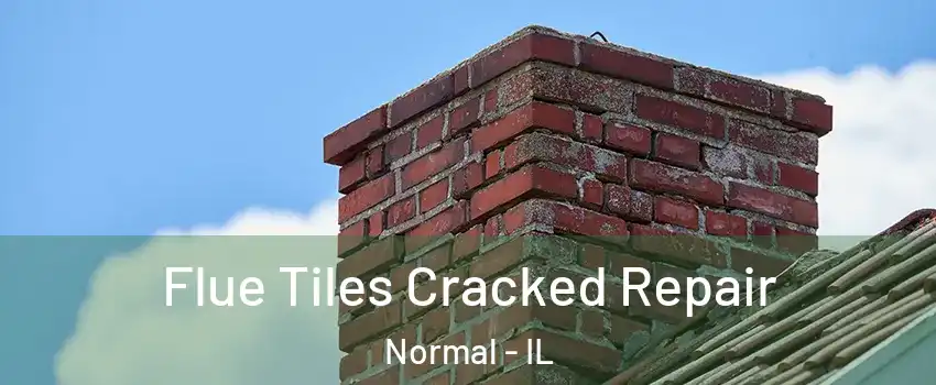  Flue Tiles Cracked Repair Normal - IL