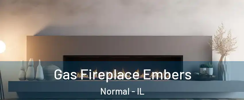  Gas Fireplace Embers Normal - IL