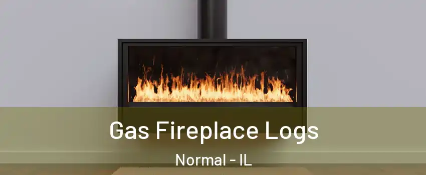  Gas Fireplace Logs Normal - IL