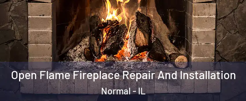  Open Flame Fireplace Repair And Installation Normal - IL